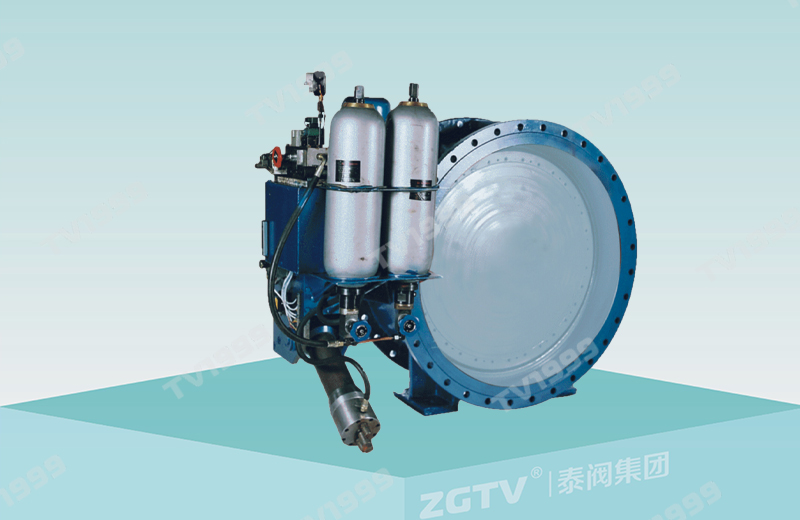 蓄能液控緩閉止回蝶閥(圖1)