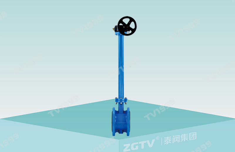 加長法蘭中線蝶閥（蝸（wō）輪）(圖1)