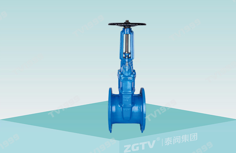 明杆彈性座封閘（zhá）閥(圖1)