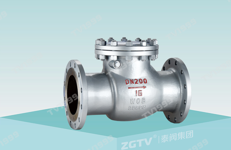 CNS Standard Stainless Steel Check Valve