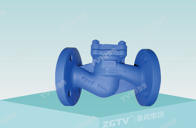 Lift Check Valve