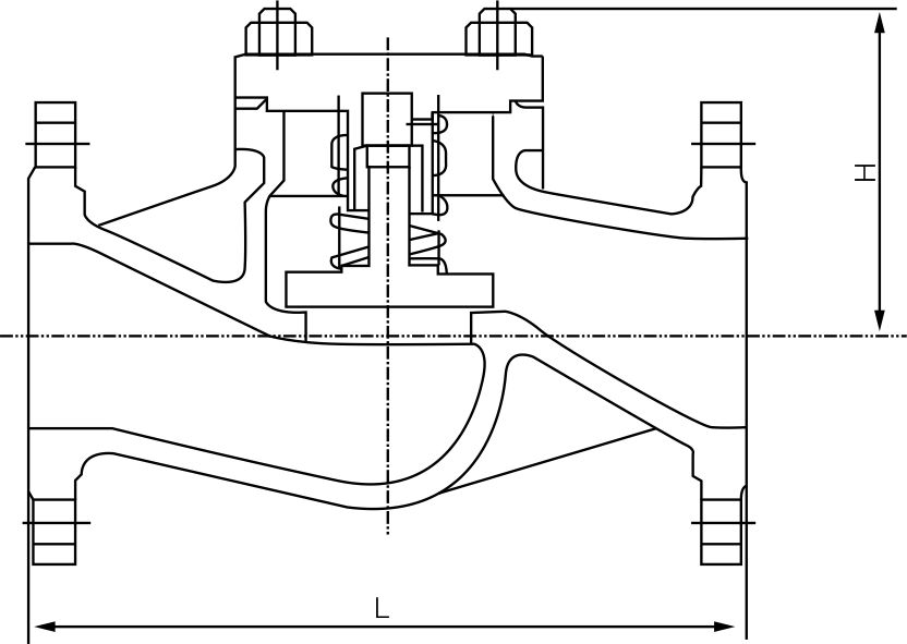 Lift Check Valve(圖1)