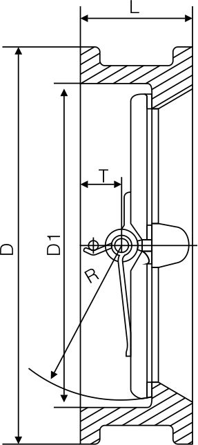 Zero leakage check valve(圖1)